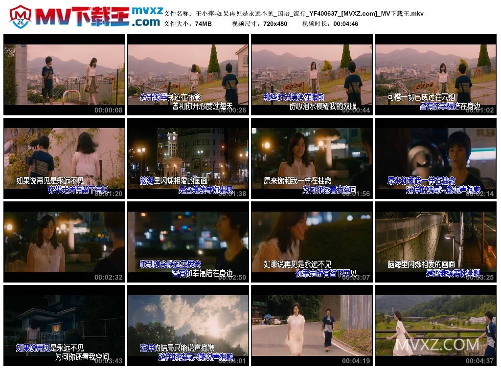 王小萍-如果再见是永远不见_国语_流行_YF400637